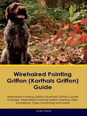 cover image of Wirehaired Pointing Griffon (Korthals  Griffon) Guide  Wirehaired Pointing Griffon Guide Includes